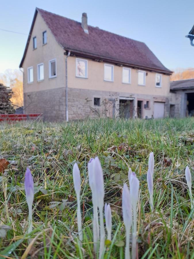 Land-Haeusle Villa Вейкерсхайм Екстериор снимка